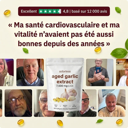 Salvini Labs - Odorless Aged Garlic